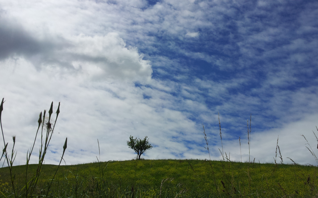 La Natura che ci ospita