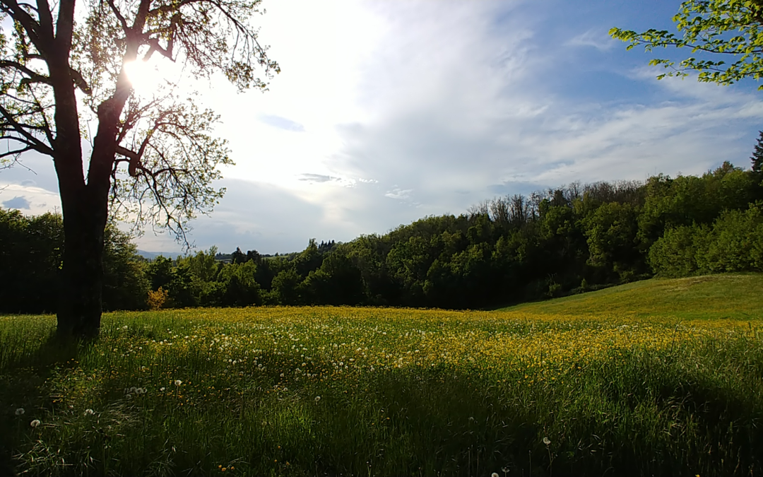 L’importanza della natura